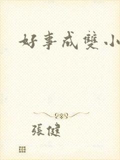 好事成双小说