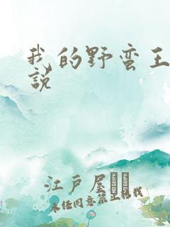 我的野蛮王妃小说