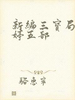 新编三宝局长许婷五部