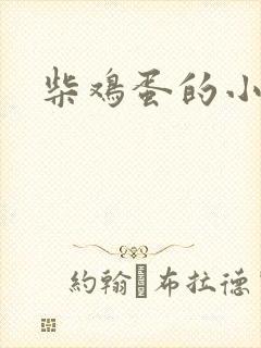 柴鸡蛋的小说
