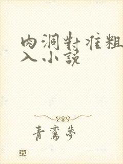 肉洞对准粗大坐入小说