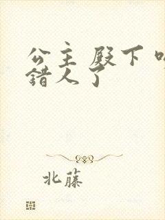 公主 殿下 吻错人了