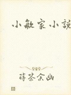 小敏家小说