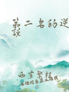 第二名的逆袭小说