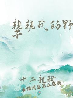 亲亲我的野猪王子