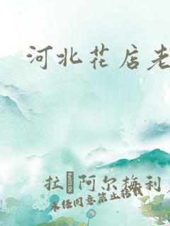 河北花店老板娘