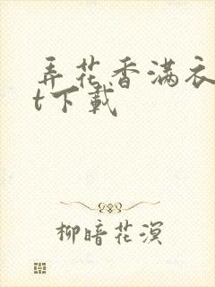 弄花香满衣txt下载