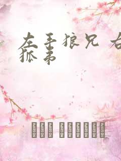 左手狼兄 右手狐弟