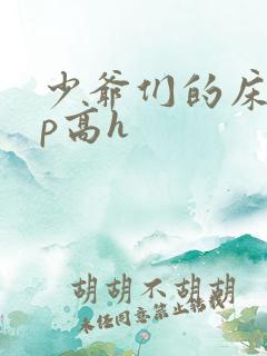 少爷们的床奴np高h