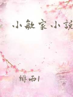 小敏家小说