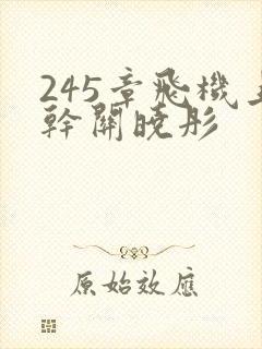 245章飞机上干关晓彤