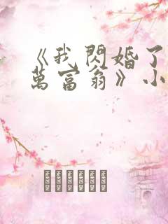 《我闪婚了个亿万富翁》小说