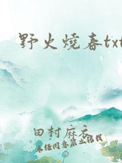 野火烧春txt