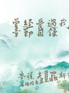 曾经爱过我刘念章节目录