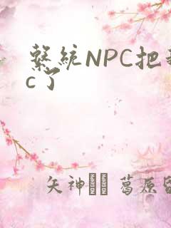 系统NPC把我c了