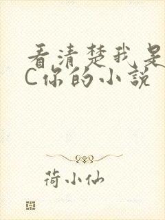 看清楚我是怎么C你的小说