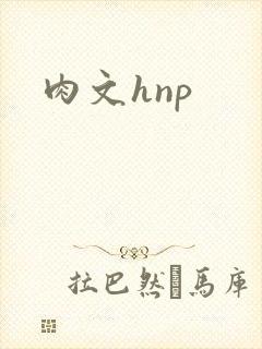 肉文hnp