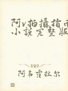 阿v拍摄指南说小说完整版