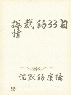 总裁的33日索情