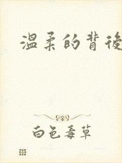 温柔的背后下载