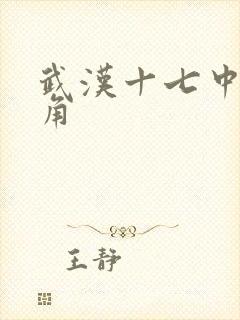 武汉十七中女主角