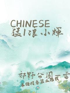 CHINESE猛1浪小辉