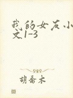 我的女友小洁全文1-3