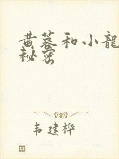 黄蓉和小龙女的秘密