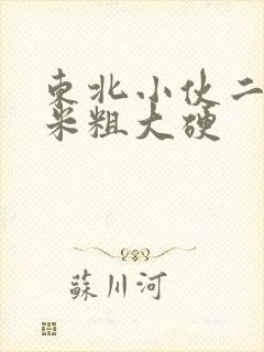 东北小伙二十厘米粗大硬