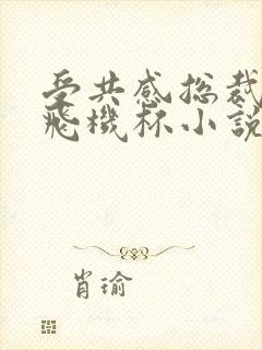 受共感总裁攻的飞机杯小说叫什么