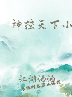 神控天下小说