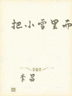 把小雪里面整满