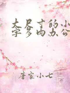 大尺寸的小黄说字多肉办公室