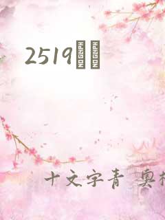 2519С˵