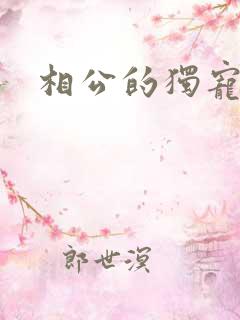 相公的独宠妻子
