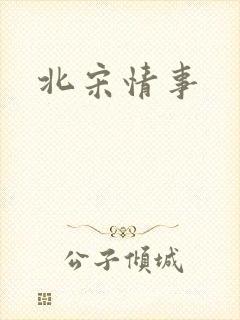 北宋情事