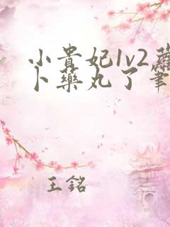 小贵妃1v2萝卜药丸了笔趣阁