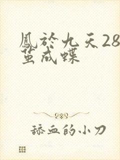 凤于九天28破茧成蝶