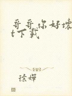 哥哥你好坏txt下载