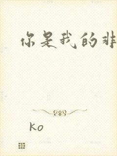 你是我的非卖品