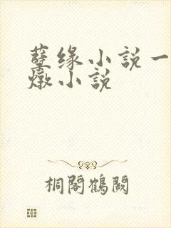 孽缘小说一家乱炖小说