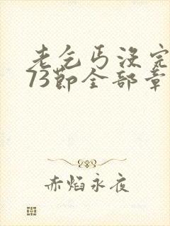 老乞丐没完没了73节全部章节内容