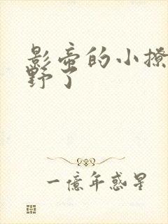 影帝的小撩精太野了