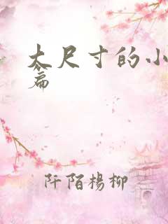 大尺寸的小说短篇