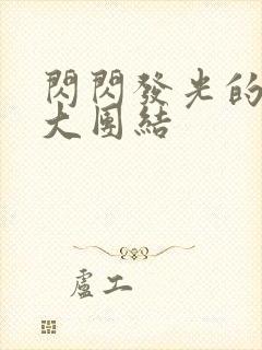 闪闪发光的小说大团结