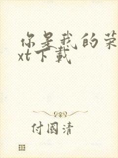 你是我的荣耀txt下载