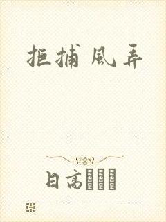拒捕 风弄