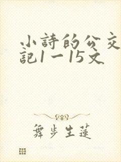 小诗的公交车日记1一15文