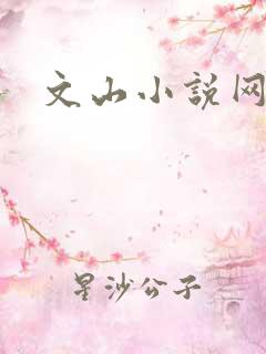 文山小说网