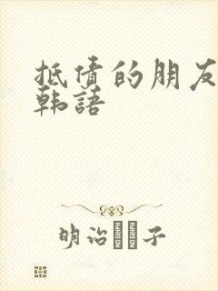 抵债的朋友麦子韩语